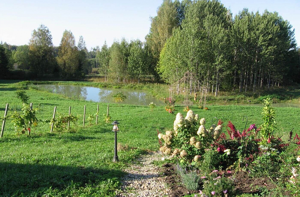 Ciemojoties Skujenes pagasta &quot;Cimbuļos&quot;.