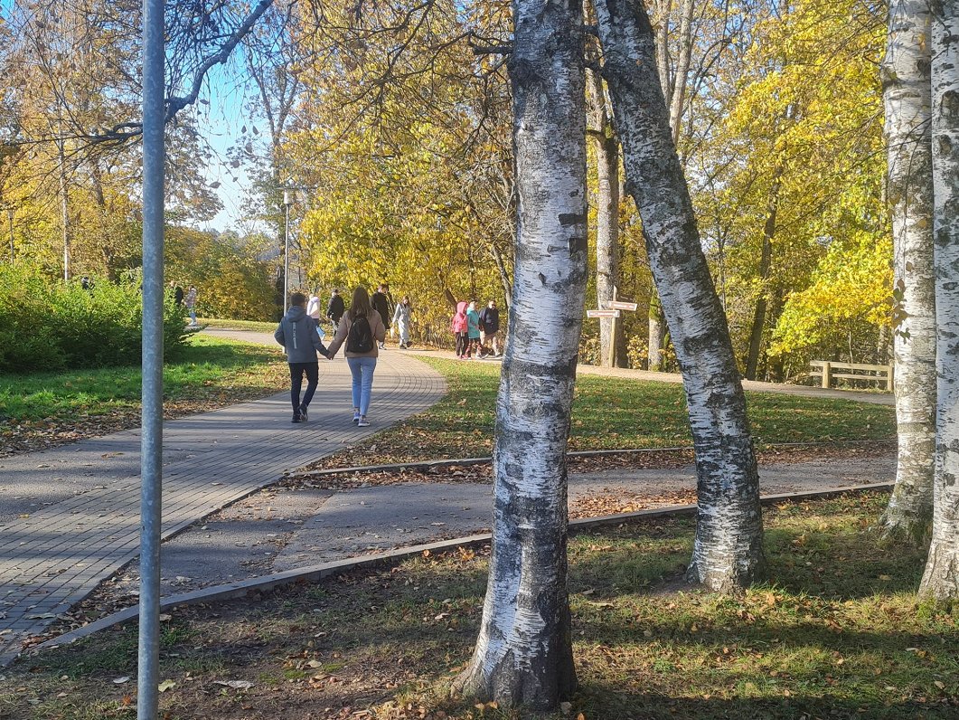 Zelta rudens Siguldā, 20.10.2024