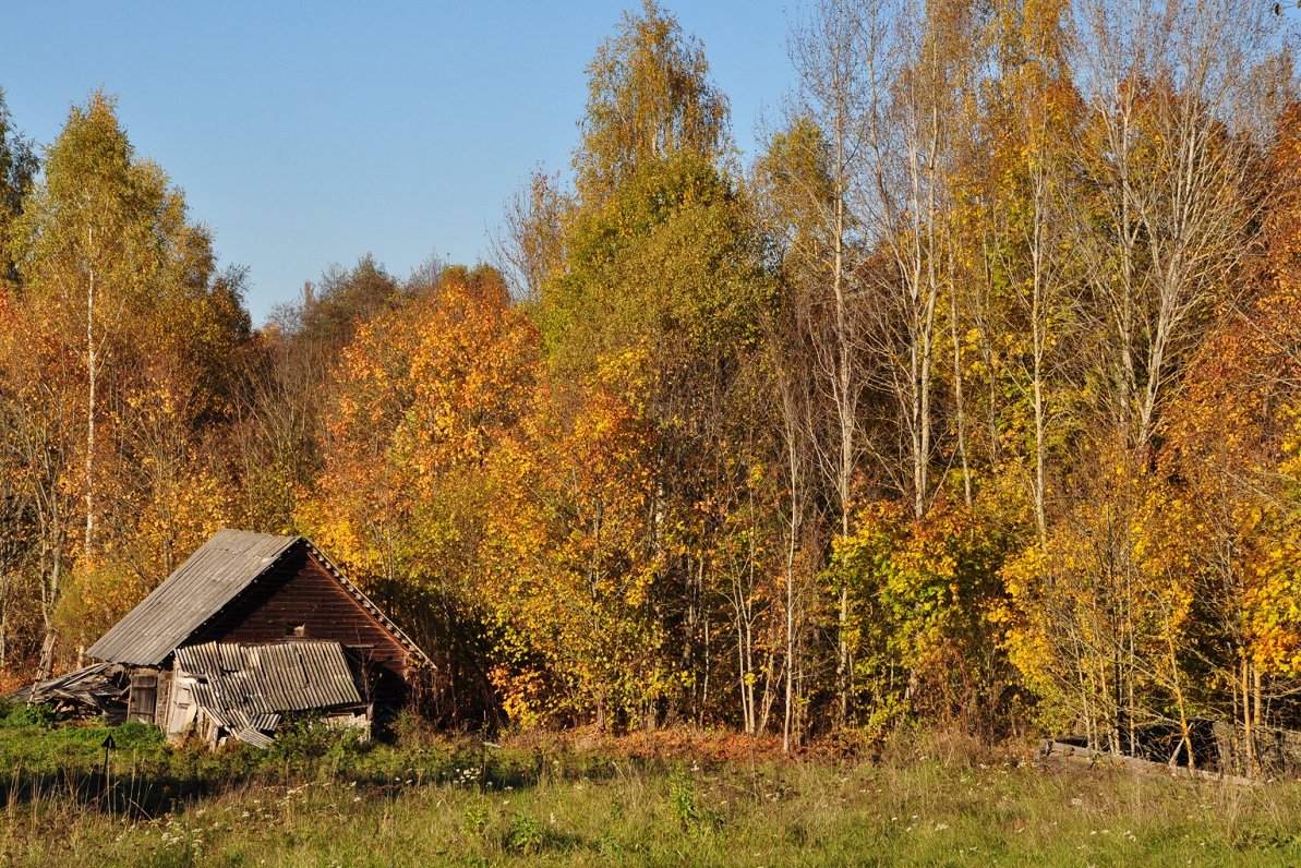 Осень в Латгалии